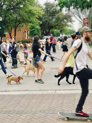 Open Streets for Dog Walkers in Fort Worth