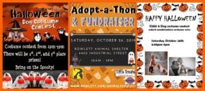 Adopt-A-Thon At The Rowlett Animal Shelter